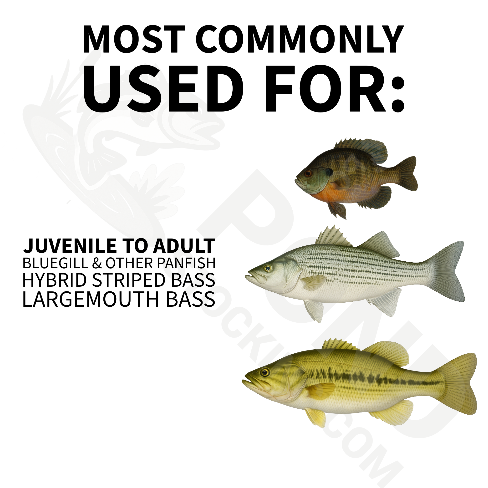 Triton® - Hybrid Striped Bass, Largemouth Bass, Bluegill - Grower Feed