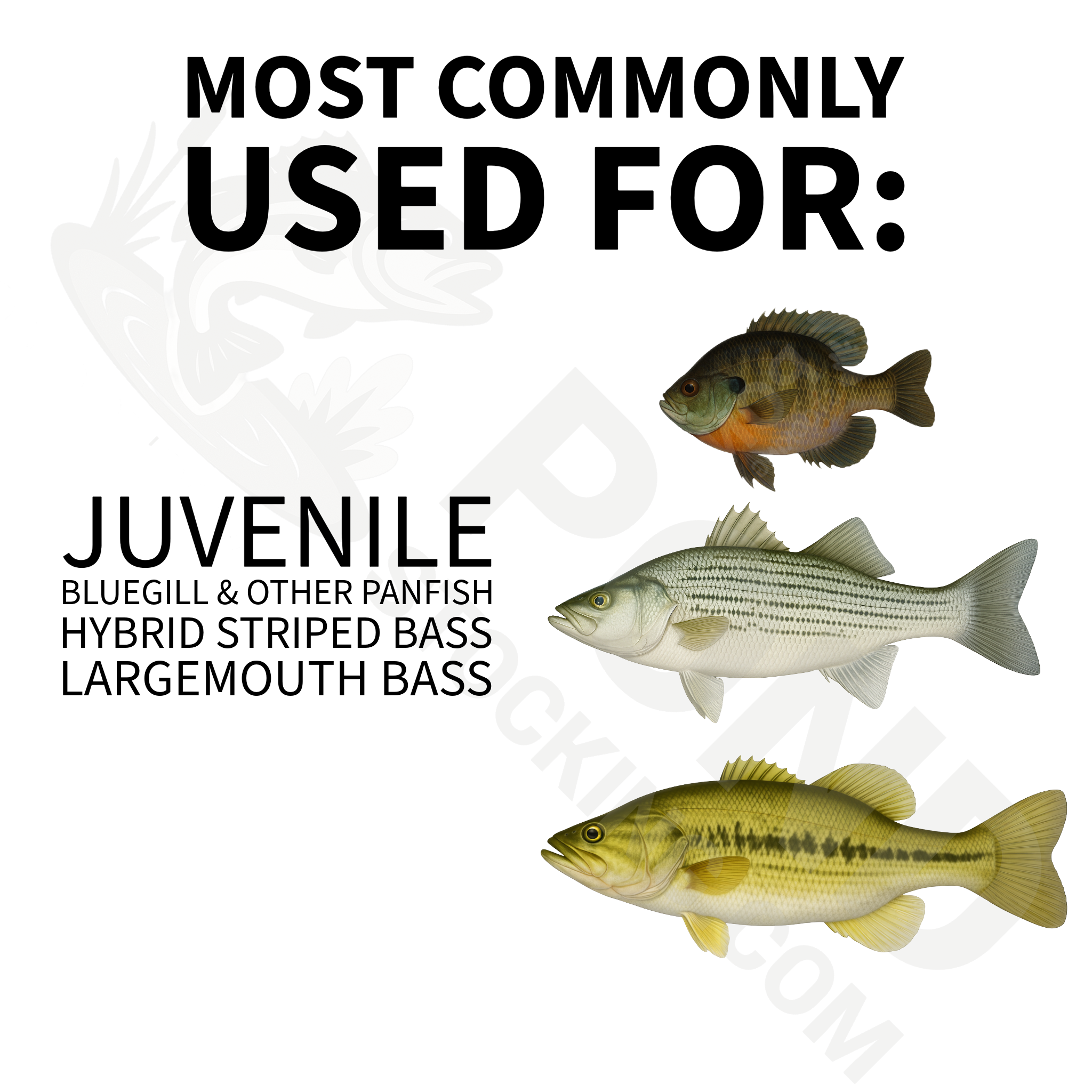 Aquaxcel® Hybrid Striped Bass, Largemouth Bass, Bluegill Starter