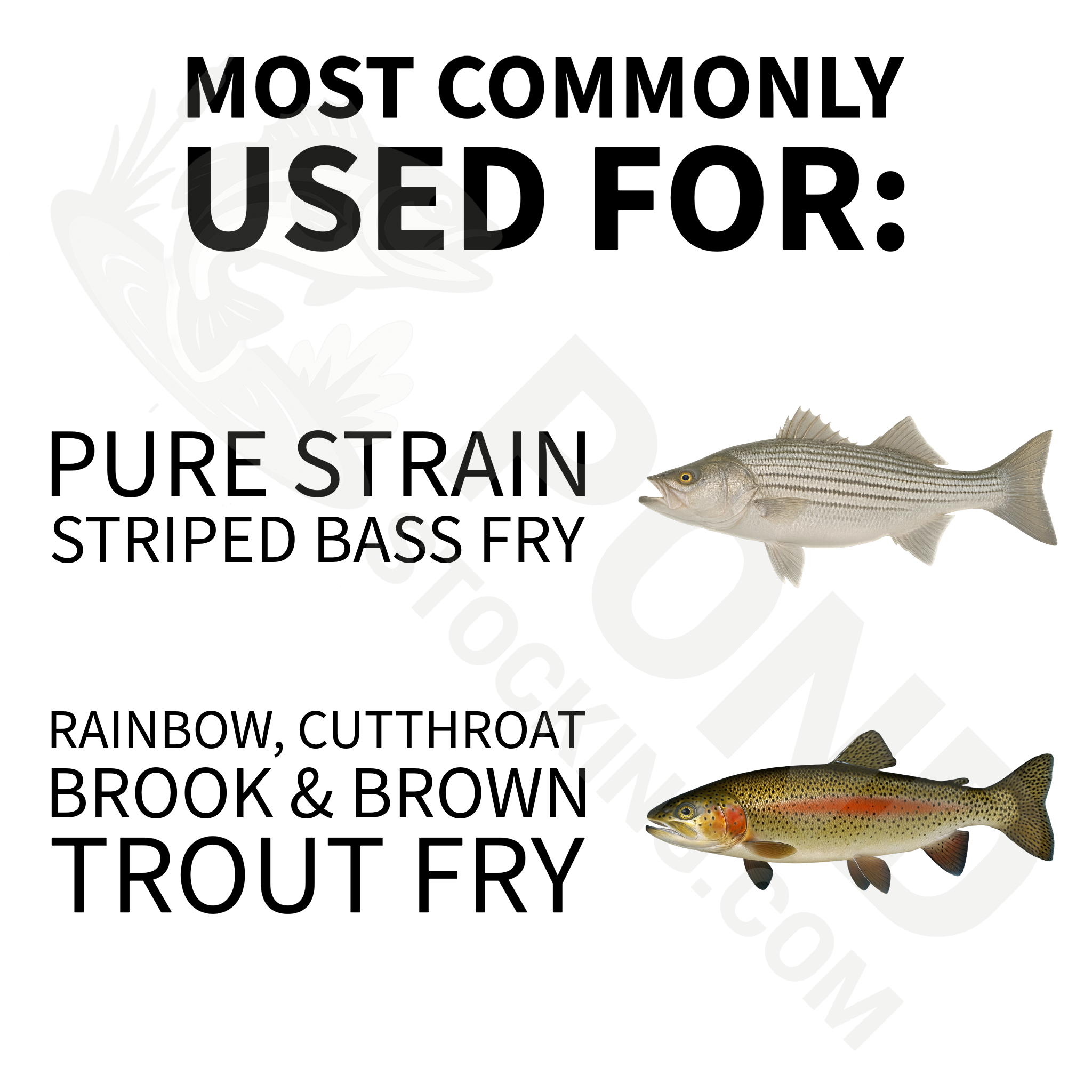 Aquaxcel® Striped Bass & Trout Starter Meal