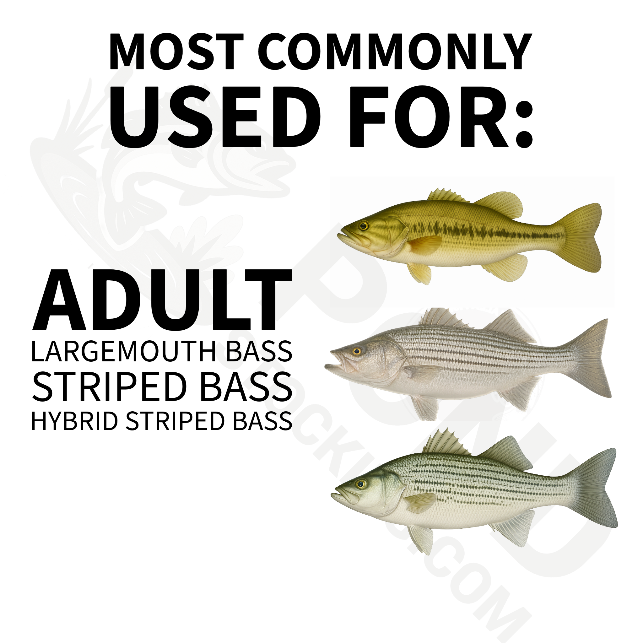 Triton® - Largemouth Bass Booster - Special Order Feed