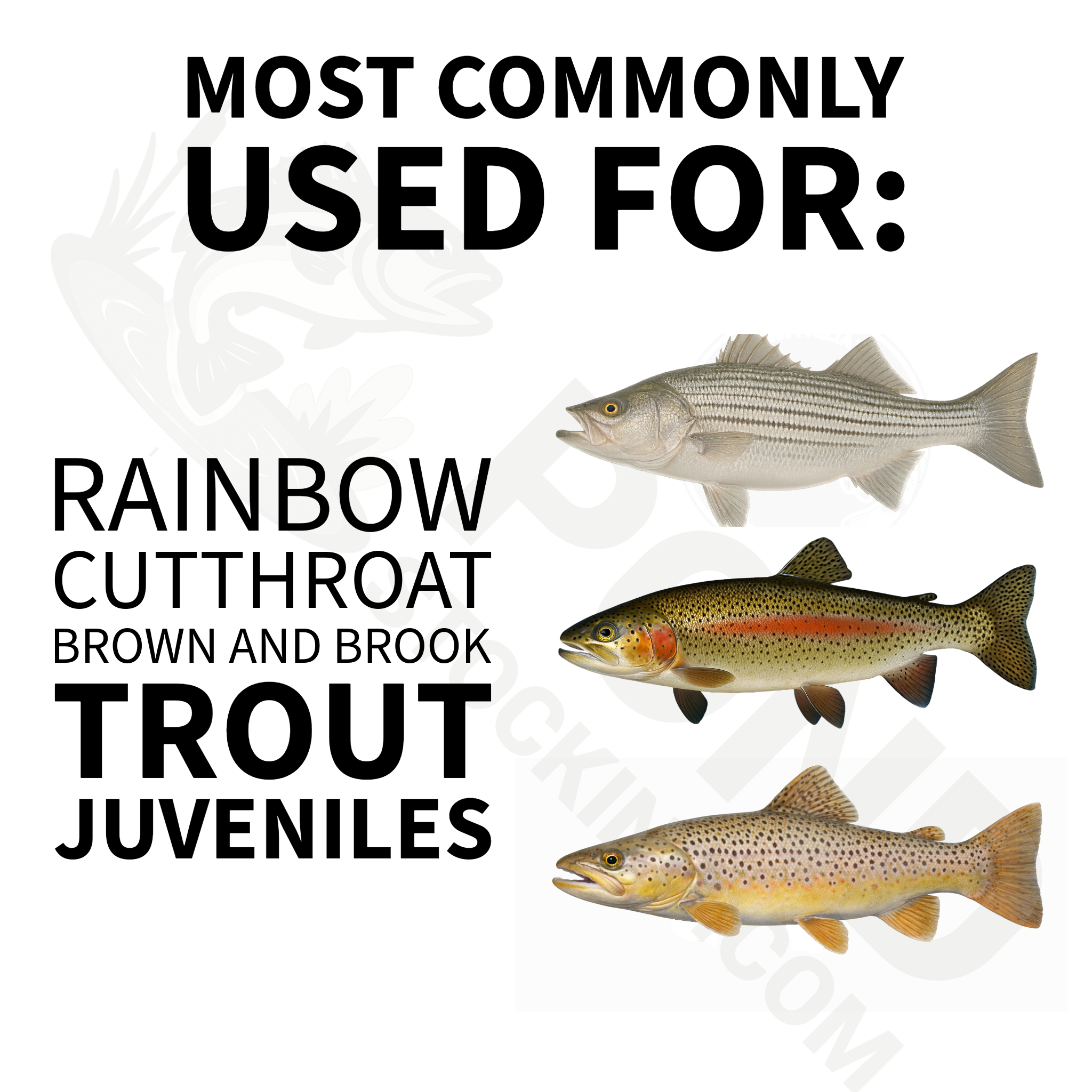 Aquaxcel® - Striped Bass and Rainbow Trout Starter Feed