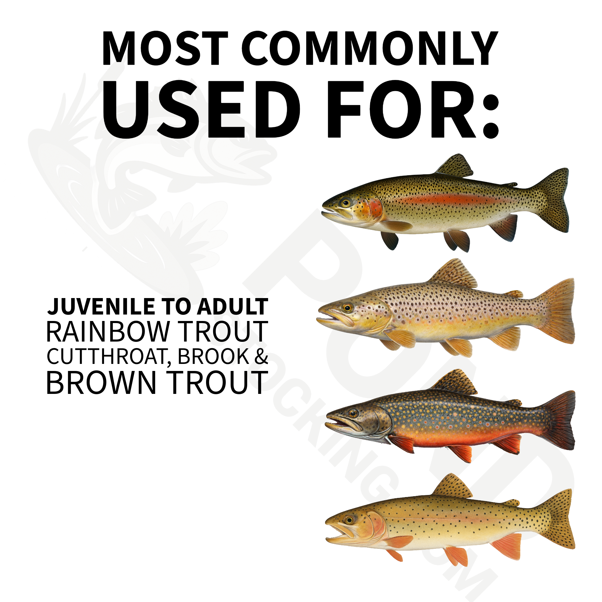 Triton® - Trout 4519 +15A - Trout Feed