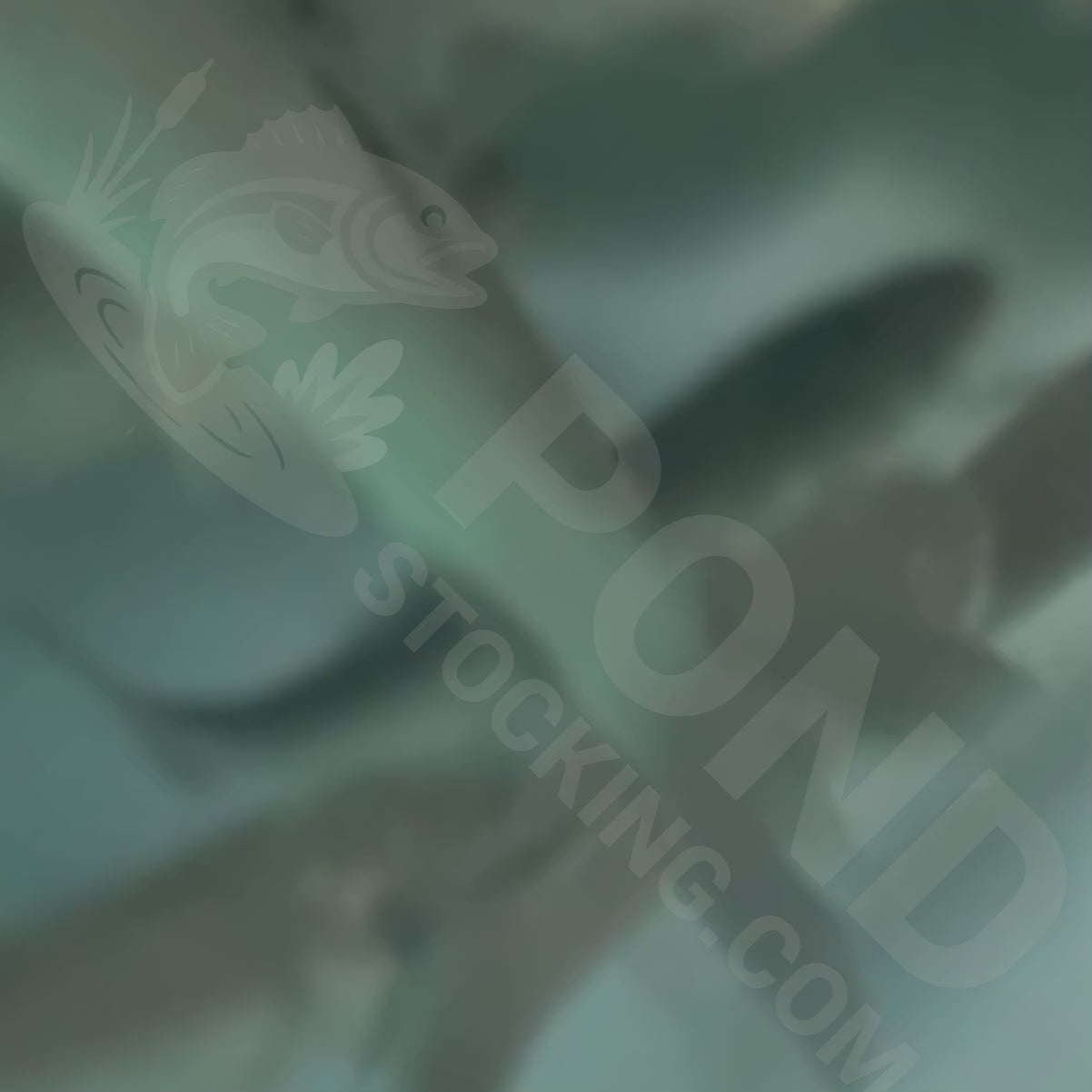 5 x 10-12" Triploid Grass Carp